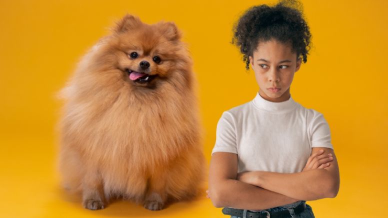 Nueva ley en Colombia endurece normas para dueños de perros: estas son las multas que podrías recibir