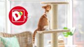 Foto ilustrativa de la nota titulada: Tiendas D1: el juguete para gatos que entretiene a tu mascota todo el día y cuesta menos de 5000 pesos