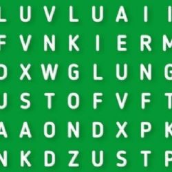 Solo una mente maestra puede encontrar la palabra ‘SONRISA’ en menos de 5 segundos