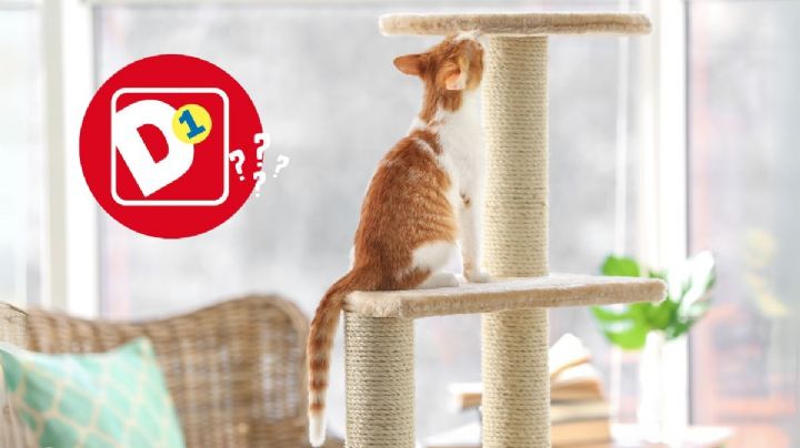 Tiendas D1: el juguete para gatos que entretiene a tu mascota todo el día y cuesta menos de 5000 pesos