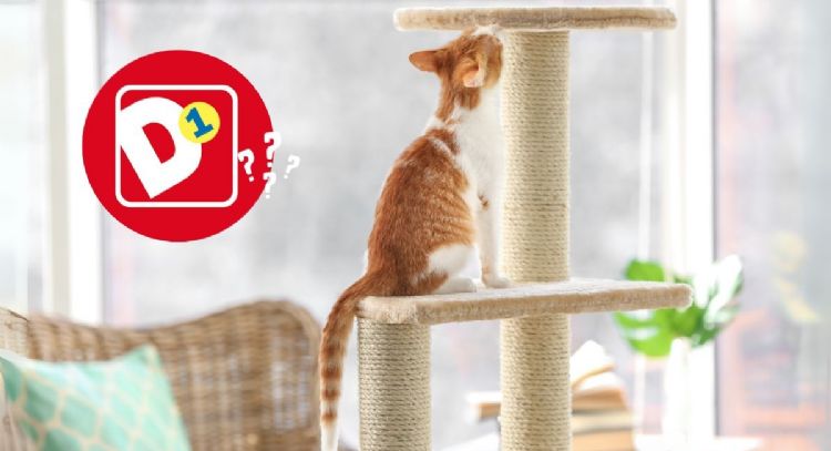 Tiendas D1: el juguete para gatos que entretiene a tu mascota todo el día y cuesta menos de 5000 pesos