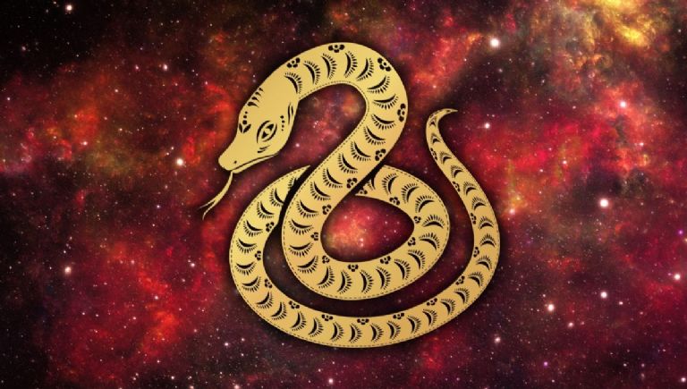 la serpiente es el animal del horoscopo chino beneficiado desde el martes 8 de julio de 2025 segun indica la inteligencia artificial