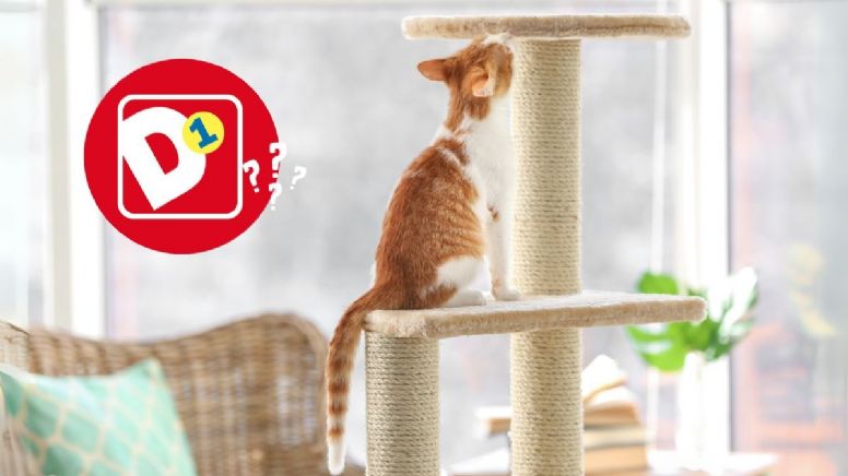 Tiendas D1: el juguete para gatos que entretiene a tu mascota todo el día y cuesta menos de 5000 pesos