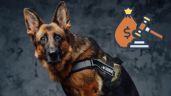 Foto ilustrativa de la nota titulada: Se conoció de cuánto es la multa por permanecer con el vehículo encendido en un puesto de control con perro