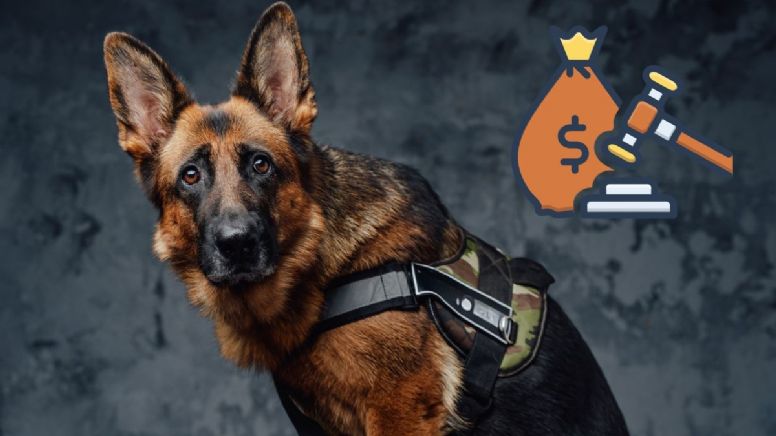 Se conoció de cuánto es la multa por permanecer con el vehículo encendido en un puesto de control con perro