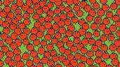Foto ilustrativa de la nota titulada: ¿Ves la manzana entre los tomates? El acertijo visual que solo el 5% de las personas resuelve en 5 segundos