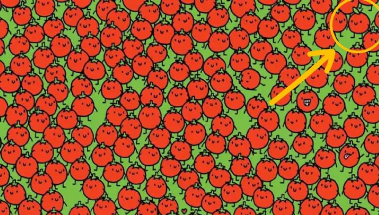 resolucion del acertijo para encontrar la manzana en los tomates