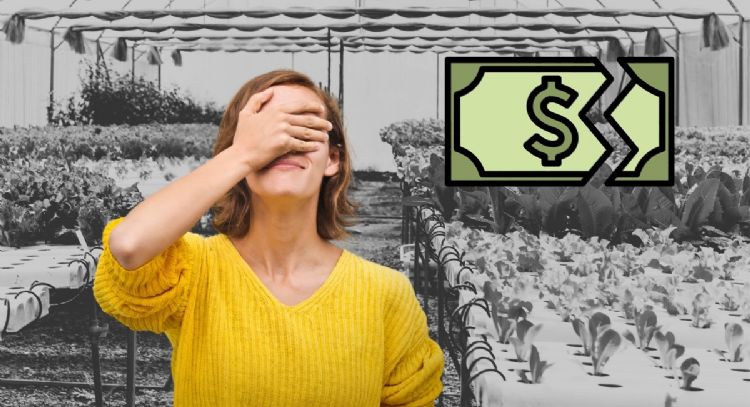 Adiós Frubana: La 'startup’ colombiana confirmó su cierre definitivo