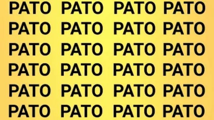 Acertijo visual: solo las personas con vista de halcón podrán encontrar la palabra GATO en tiempo récord