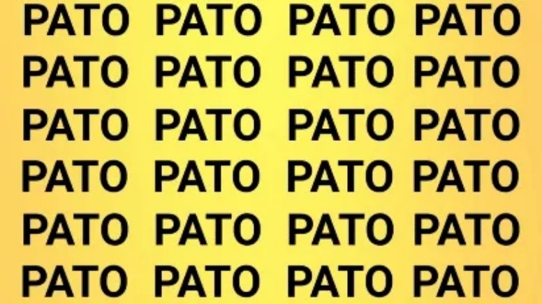 Acertijo visual: solo las personas con vista de halcón podrán encontrar la palabra GATO en tiempo récord