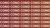 Foto ilustrativa de la nota titulada: Acertijo visual: solo las personas con vista de halcón podrán encontrar la palabra Coco en 5 segundos