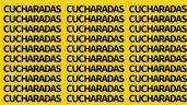 Foto ilustrativa de la nota titulada: ¿Puedes encontrar la palabra 'CUCARACHAS'? El acertijo visual que solo el 3% de las personas resuelve en 5 segundos