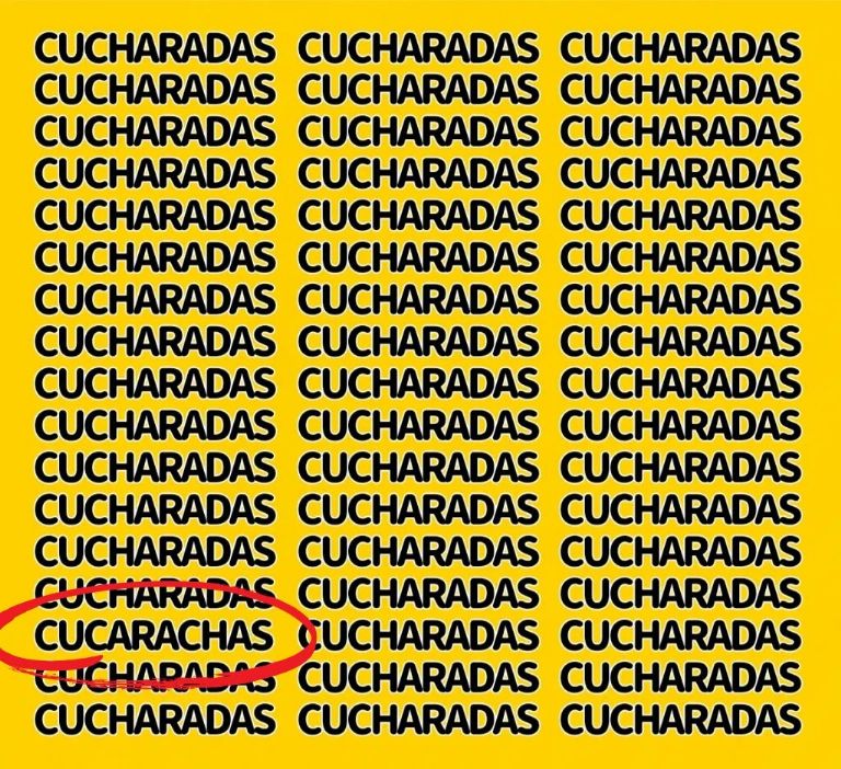 resolucion del acertijo visual con la palabra cucarachas