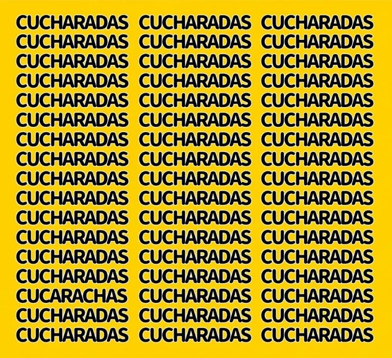 acertijo visual para encontrar la palabra camuflada