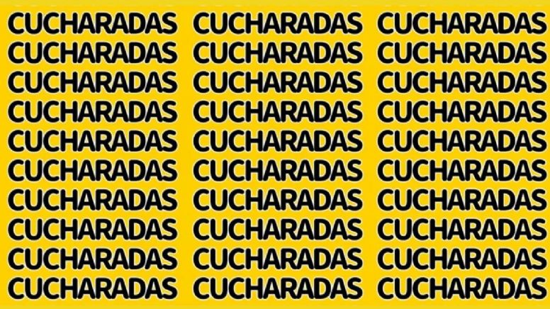 ¿Puedes encontrar la palabra 'CUCARACHAS'? El acertijo visual que solo el 3% de las personas resuelve en 5 segundos