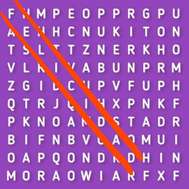 resolucion del acertijo visual con sopa de letras