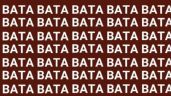 Foto ilustrativa de la nota titulada: Sólo una persona con vista de halcón puede encontrar la palabra 'BALA' en sólo 5 segundos