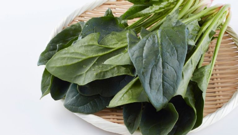 receta de bastoncitos de espinaca sin harina
