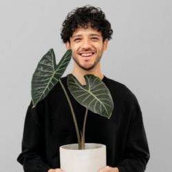 Qué planta es compatible con cada signo del zodíaco