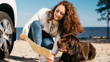 Qué documentación necesito para viajar en avión con mi mascota