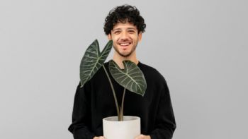 Qué planta es compatible con cada signo del zodíaco