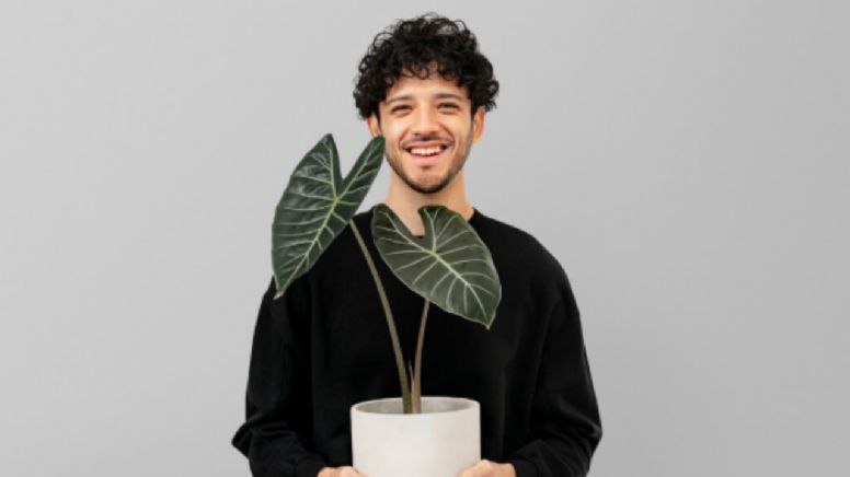 Qué planta es compatible con cada signo del zodíaco