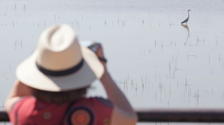 El lago natural de Colombia donde podrás avistar cientos de especies y maravillarte con su naturaleza