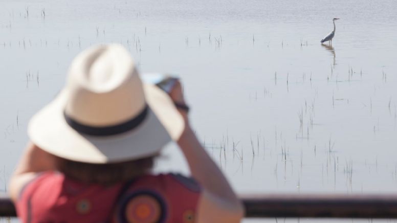 El lago natural de Colombia donde podrás avistar cientos de especies y maravillarte con su naturaleza