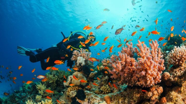 El destino caribeño muy cercano a Cartagena de Indias ideal para hacer buceo