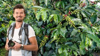 Ruta del Eje Cafetero: qué clima hace y qué ropa llevar en la maleta