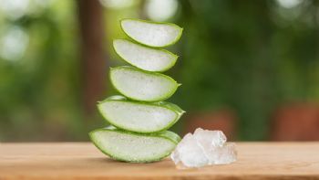 Por qué el aloe vera puede dejar el pelo más brillante, según un farmacéutico