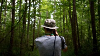 El destino colombiano repleto de bosques, selvas y paisajes de ensueño