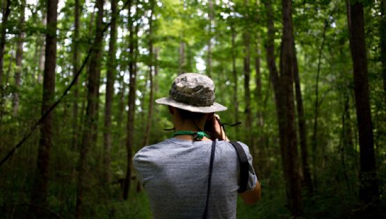 El destino colombiano repleto de bosques, selvas y paisajes de ensueño