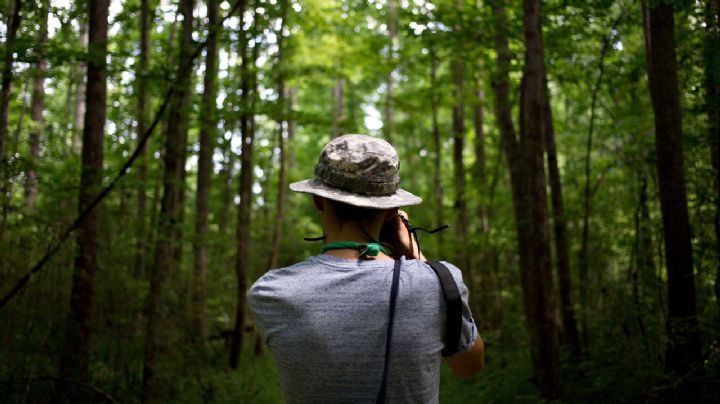 El destino colombiano repleto de bosques, selvas y paisajes de ensueño