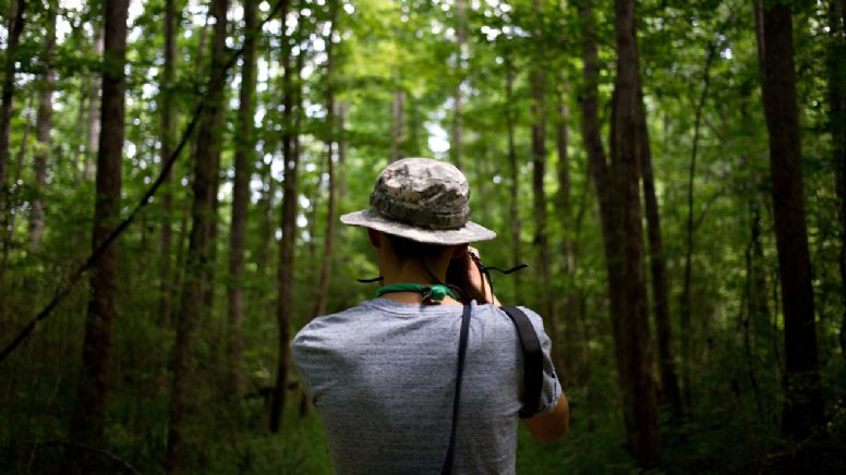 El destino colombiano repleto de bosques, selvas y paisajes de ensueño