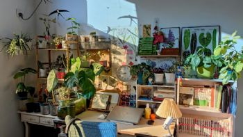 5 plantas de interior que crecen sin la necesidad de la luz solar