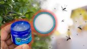 Foto ilustrativa de la nota titulada: Vicks VapoRub, el arma perfecta para ahuyentar a los mosquitos y ratones