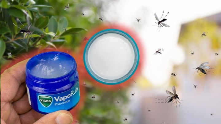Vicks VapoRub, el arma perfecta para ahuyentar a los mosquitos y ratones