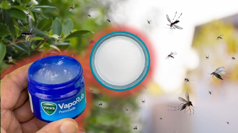 Vicks VapoRub, el arma perfecta para ahuyentar a los mosquitos y ratones