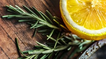 Con un par de ramas de romero, crea un aromatizante natural para tu casa