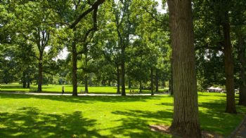 Cuáles son los mejores espacios verdes de Bogotá: ideales para estar en contacto con la naturaleza