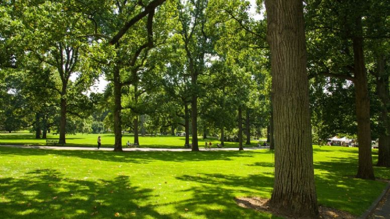 Cuáles son los mejores espacios verdes de Bogotá: ideales para estar en contacto con la naturaleza