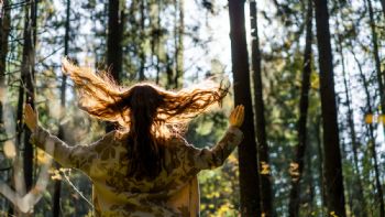 Dónde queda el árbol más grande Colombia y cuánto mide