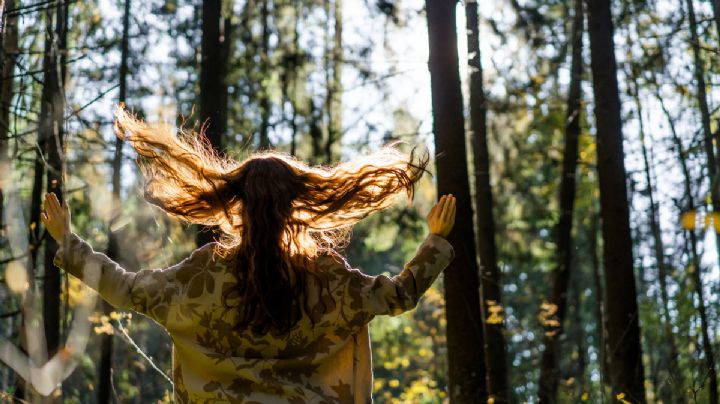 Dónde queda el árbol más grande Colombia y cuánto mide