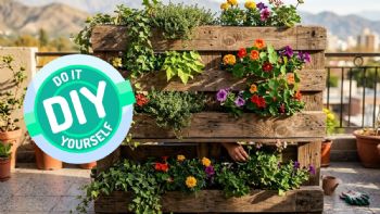 Si tienes estibas viejas, posees un tesoro: conoce las 3 ideas que pueden cambiar tu casa