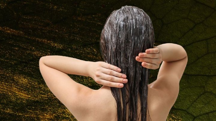 Paso a paso para hacer una mascarilla casera para hidratar el pelo seco