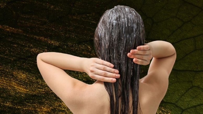 Paso a paso para hacer una mascarilla casera para hidratar el pelo seco