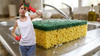 ¿Por qué no se debe usar la esponjilla de los platos durante varias semanas en la cocina?