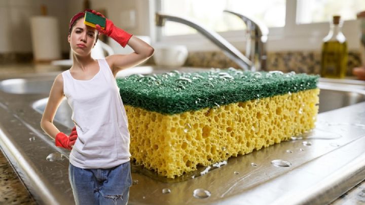 ¿Por qué no se debe usar la esponjilla de los platos durante varias semanas en la cocina?
