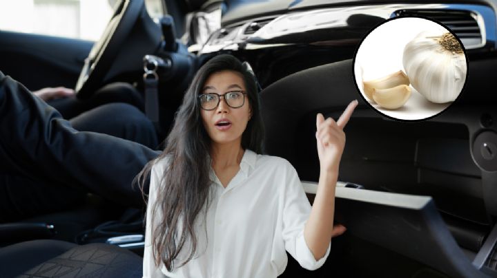 Si colocas un ajo en la guantera del auto estos son sus beneficios: recomendado por el Feng Shui